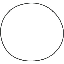 Case - IH 454 2386274 O-ring Case-IH