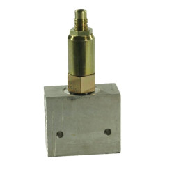 Apsauginis vožtuvas CP200-1 1/2"BSP išorinis CP2001002