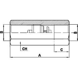 Žarnos trūkimo vožtuvas F-06-S-30L/min 3/8 HBV05002