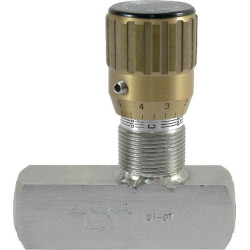 Droselio atbulinis vožtuvas SS FT2257534
