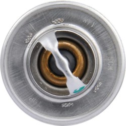 Case - IH 353 3059676R92 Termostatas Case – IH