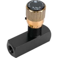 Droselio atbulinis vožtuvas FT257518