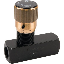 Droselio atbulinis vožtuvas FT257512