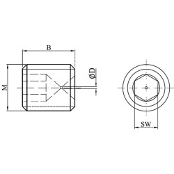 Droselio varžtas M8 Ø 0,7 mm Br SSM8807BR