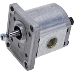 Siurblys PLP10.6,3 D081-E1-LGD/GD-N PLP106D081E1G