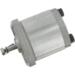 Siurblys PLP10.5 D0-81E1-LGD/GD-N PLP105D081E1G