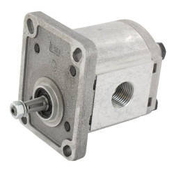 Krumpliaratinis siurblys PLP10.6-S0-81-E1LGD/GD-N-EL PLP106S081EIGD