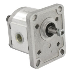 Krumpliaratinis siurblys PLP10.2-D0-81E1-L PLP102D081E1GC