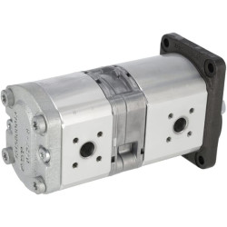 Krumpliaratinis siurblys AZPFF-10-019/008RCB2020MB 0510665024