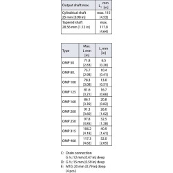 Ratų variklis, velenas Ø25, nuotėkis OMPW2001517171