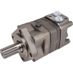 Orbitinis variklis, velenas 1-1/4", Z14 OMS80151F0507