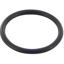 Case - IH 453 3057400R1 O-ring Case - IH
