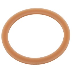 Case - IH 523 3134943R1 Ring 60x72x3 Case - IH