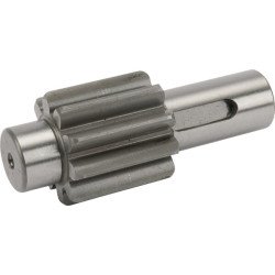 Krūminis velenas RT88393