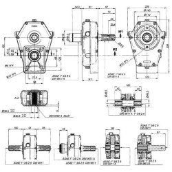 Pavarų dėžė 30-ST-8-3.8 (V-Š/Gr3) GBF30ST838