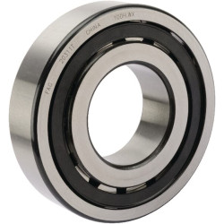 Sferinis ritininis guolis 20211TVP