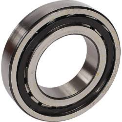 Sferinis ritininis guolis 65x120x23mm INA/FAG 20213KTVPC3