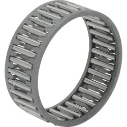 Adatinis narvelinis guolis K40X45X17GP