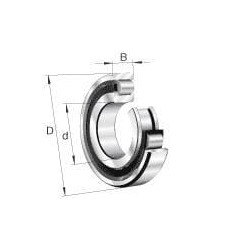 Cilindrinis ritininis guolis N306EXLTVP2