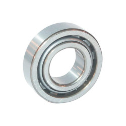 Cilindrinis ritininis guolis NJ2320EXLTVP2