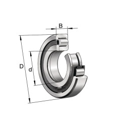Cilindrinis ritininis guolis 20x52x14mm INA/FAG NUP304ETVP2