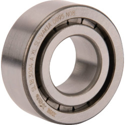 Cilindrinis ritininis guolis 20x42x16mm INA/FAG SL183004AXL