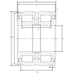 Cilindrinis ritininis guolis 80x125x60mm INA/FAG SL045016PP2NR
