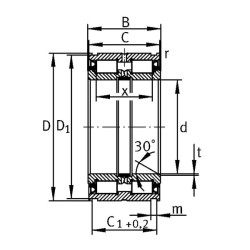 Cilindrinis ritininis guolis 80x125x60mm INA/FAG SL045016PP2NR