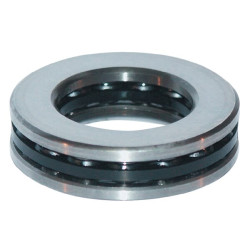 Atramos rutulinis guolis SKF 750051100