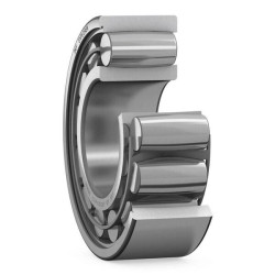 CARB toroidinis ritininis guolis C2315KC3