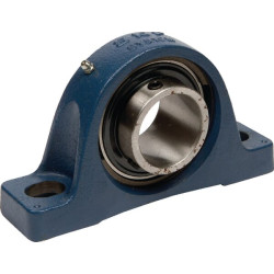 Flanšinis guolis 500263162