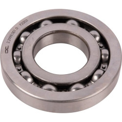 Rutulinis guolis 229990010N