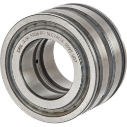 Cilindrinis ritininis guolis 30x55x34mm INA/FAG SL045006PP