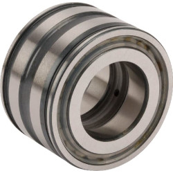 Cilindrinis ritininis guolis 25x47x30mm INA/FAG SL045005PP