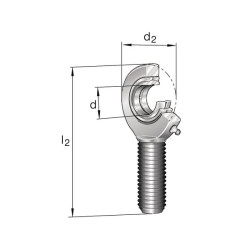 Strypo galvutė GAL20DOINA