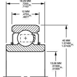 Rutulinis guolis 203RR5