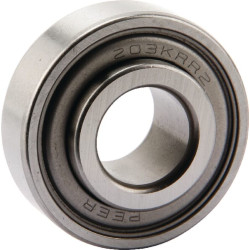 Ritininis guolis 203KRR2