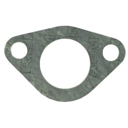 Case - IH 824 3055306R3 vandens kolektoriaus tarpiklis