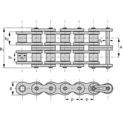 Dviguba ritininė grandinė 1x17.02 16B2LB