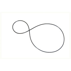 O formos žiedas NWS00166