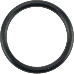 O formos žiedas NWS01548