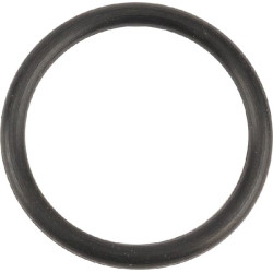 O formos žiedas NWS01513