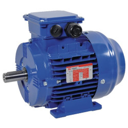 Elektrinis variklis 1,1 kW EM90S4B3300IE3AKR