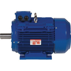 Elektrinis variklis 5,5 kW EM132S4B3500IE3AKR