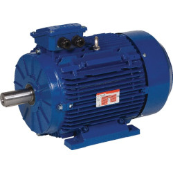 Elektrinis variklis 7,5 kW EM132M4B3500IE3AKR