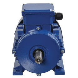 Elektrinis variklis 0,75 kW EM80A2B3300IE3AKR