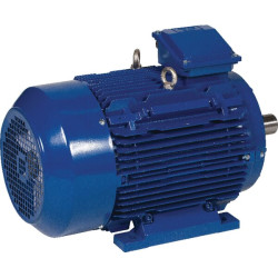 Elektrinis variklis 4 kW EM112L4B3300IE3AKR