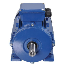 Elektrinis variklis 4 kW EM112M2B3300IE3AKR