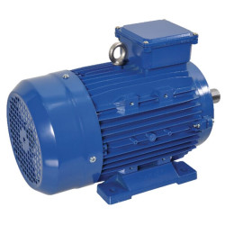 Elektrinis variklis 4 kW EM112M2B3300IE3AKR