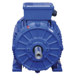 11 kW elektrinis variklis EM160L6B3500IE3GKR